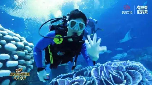 小红帽的冒险之旅